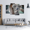 Happy Koala Wall Art