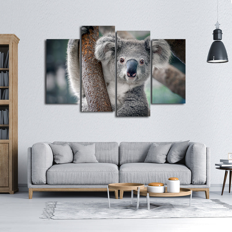 Happy Koala Wall Art
