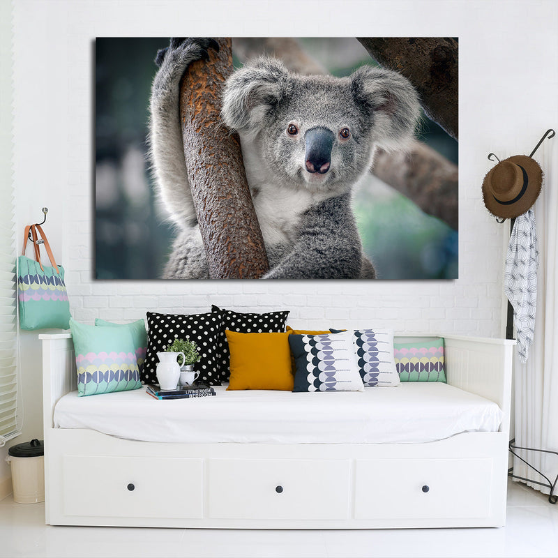 Happy Koala Wall Art