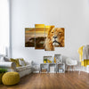 Lion In African Safari Wall Art