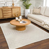 Drago White Washable Area Rug