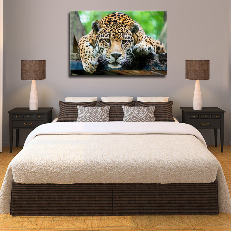 Lazy Leopard Wall Art
