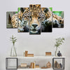 Lazy Leopard Wall Art