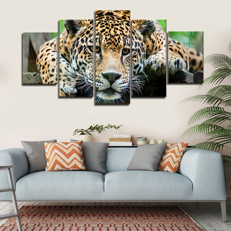 Lazy Leopard Wall Art