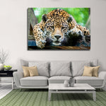 Lazy Leopard Wall Art