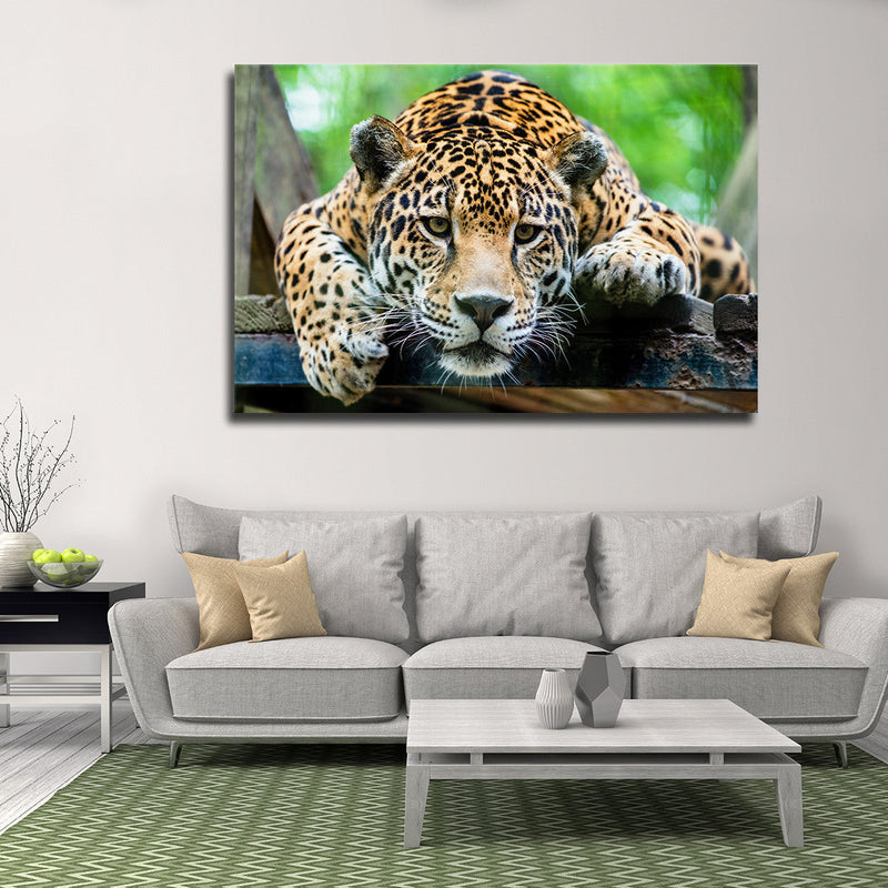 Lazy Leopard Wall Art