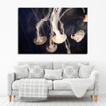 Light Of Jellyfish Wall Art
