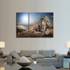 Lion King Wall Art