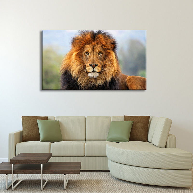 Proud Lion Wall Art