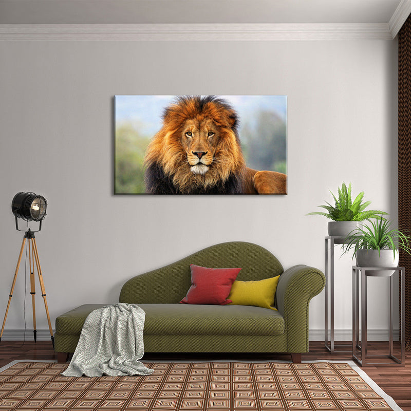 Proud Lion Wall Art
