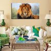 Proud Lion Wall Art