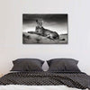 Lioness Wall Art