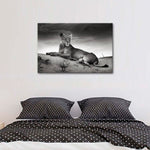 Lioness Wall Art