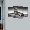 Lioness Wall Art