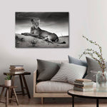 Lioness Wall Art
