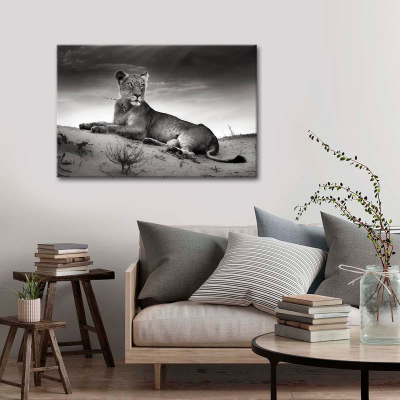 Lioness Wall Art