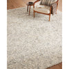 Amber Lewis x Loloi Woodland Silver Rug