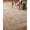 Angela Rose x Loloi Blake Oatmeal / Spice Rug