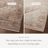 Lyra Natural / Mocha Rug