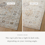 Monroe Beige / Multi Rug