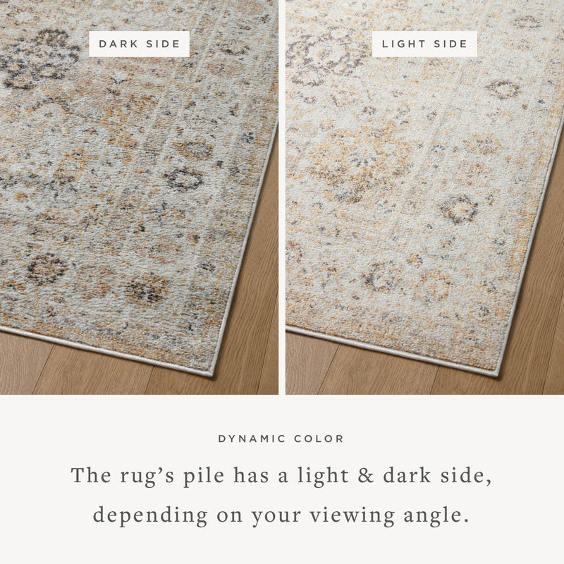 Monroe Beige / Multi Rug