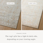 Monroe Sand / Sunrise Rug