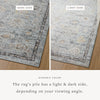 Monroe Sky / Gold Rug