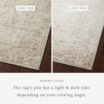 Sonnet Beige / Terracotta Rug