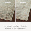 Sonnet Lagoon / Gold Rug