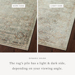 Sonnet Lagoon / Gold Rug