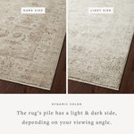 Sonnet Sand / Taupe Rug