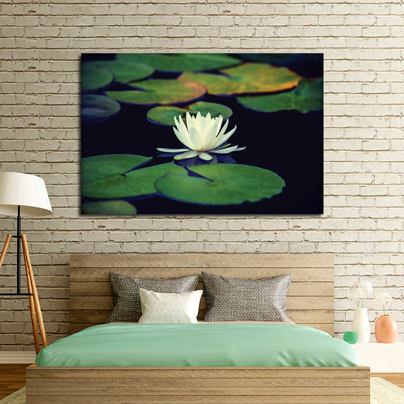 Lotus And Leaves Wall Art
