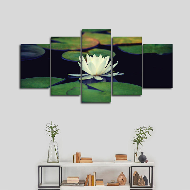 Lotus And Leaves Wall Art