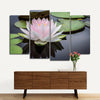 Pinkish White Lotus Wall Art