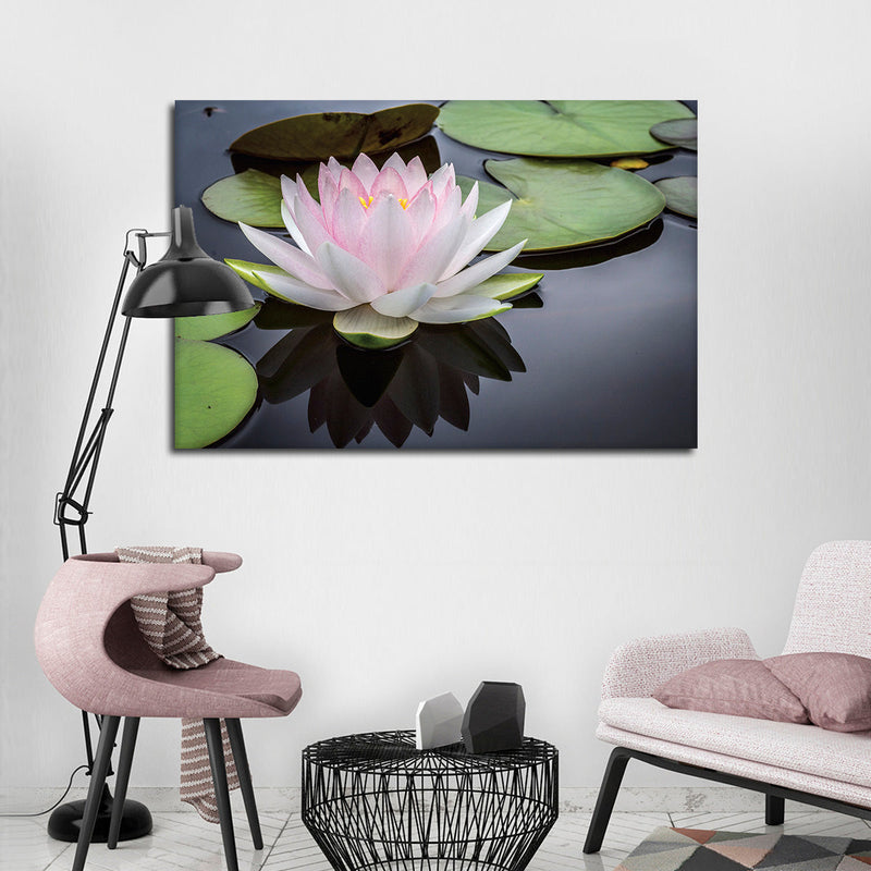 Pinkish White Lotus Wall Art