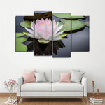 Pinkish White Lotus Wall Art