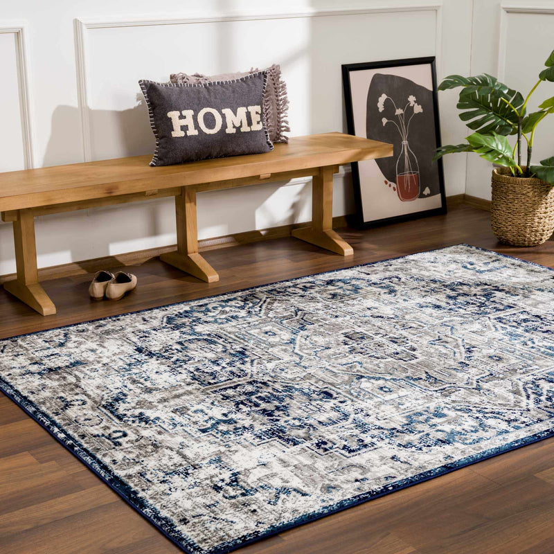 Buenaventura Navy Area Rug