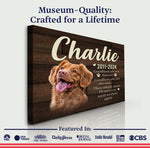 Pet Memorial Sign VIII