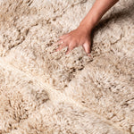 Irrigation Plan - luxury beni mrirt rug