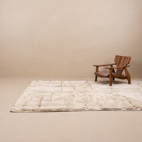 Irrigation Plan - luxury beni mrirt rug