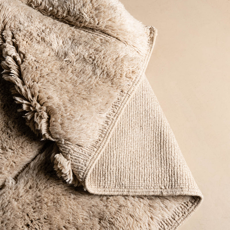 Irrigation Plan - luxury beni mrirt rug