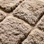 Irrigation Plan - luxury beni mrirt rug