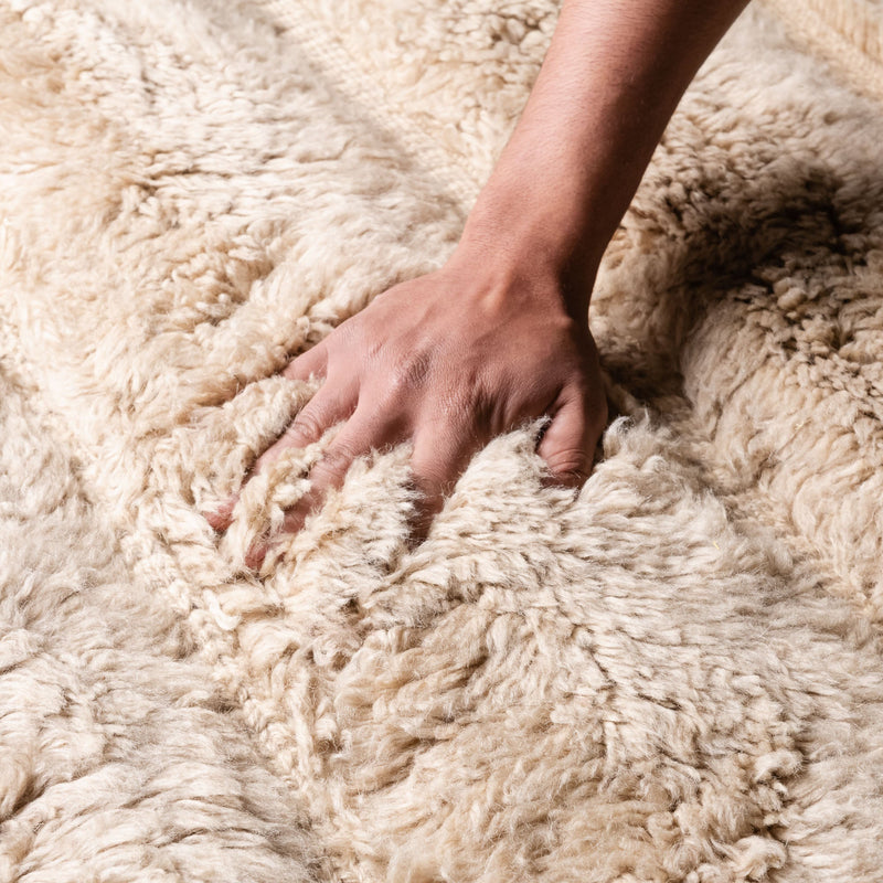Sandy Shores Tapestry - luxury beni mrirt rug
