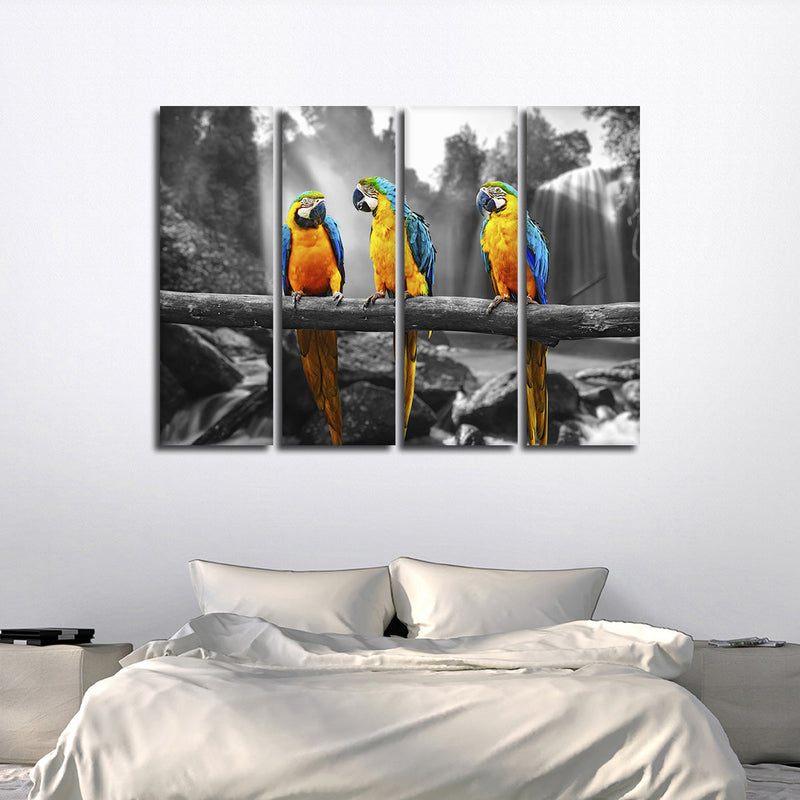 Macaw Friends Pop Wall Art