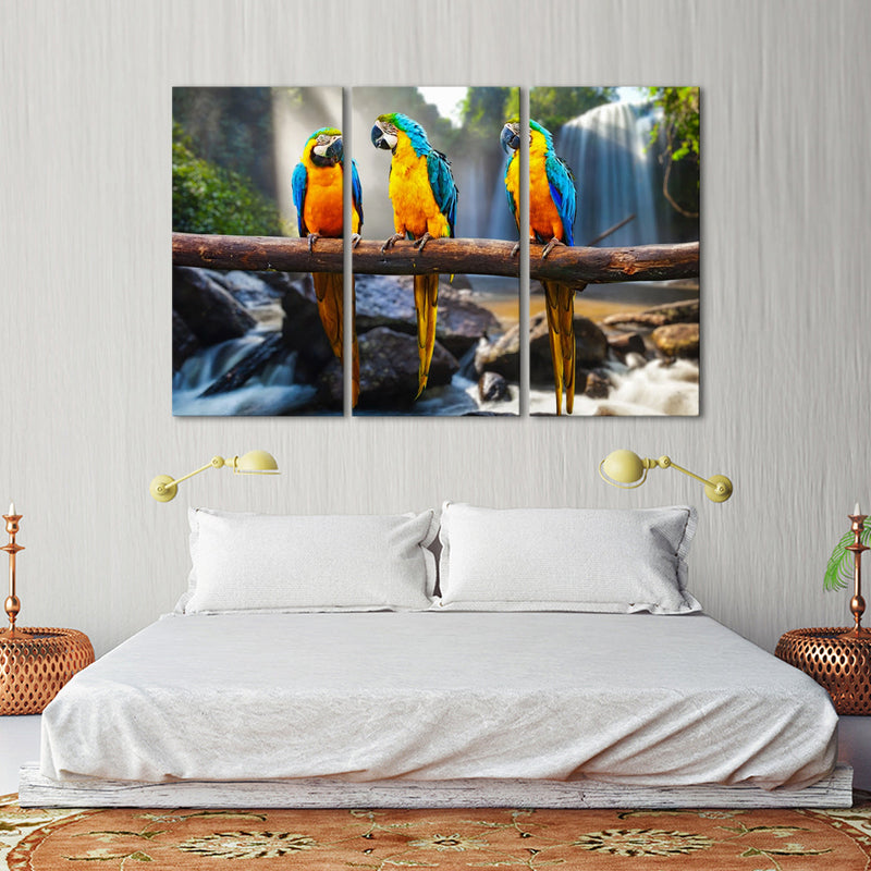 Macaw Friends Wall Art