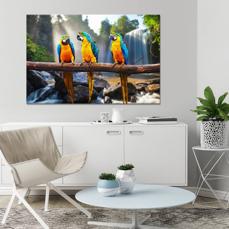 Macaw Friends Wall Art