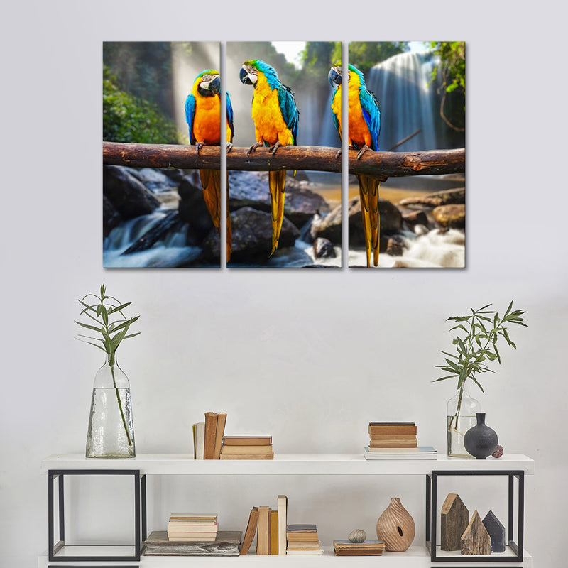 Macaw Friends Wall Art