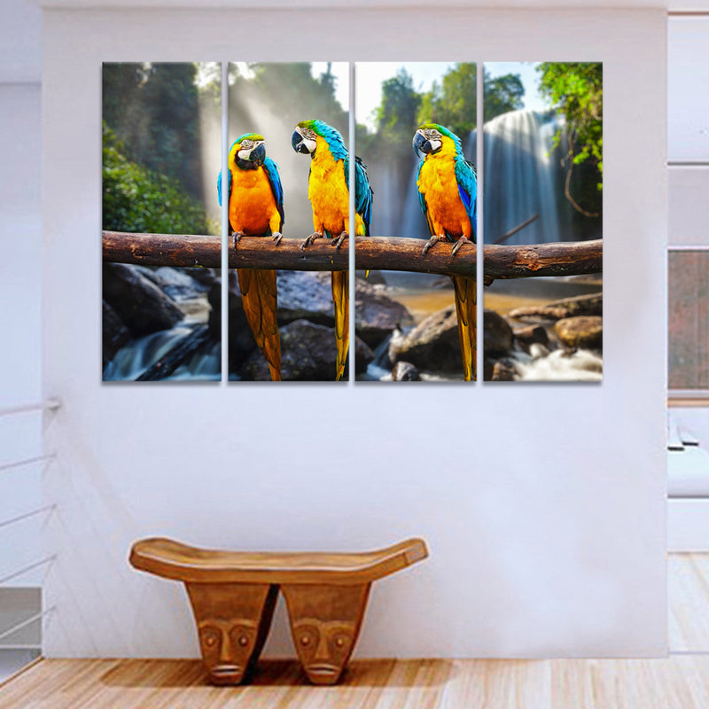 Macaw Friends Wall Art