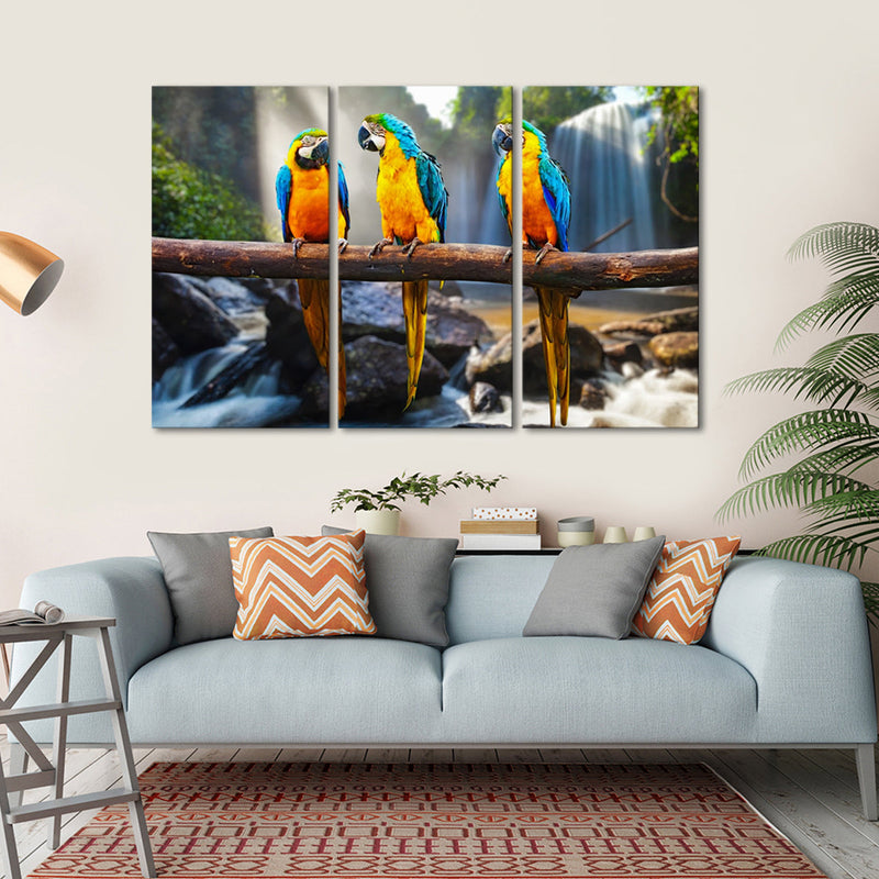 Macaw Friends Wall Art