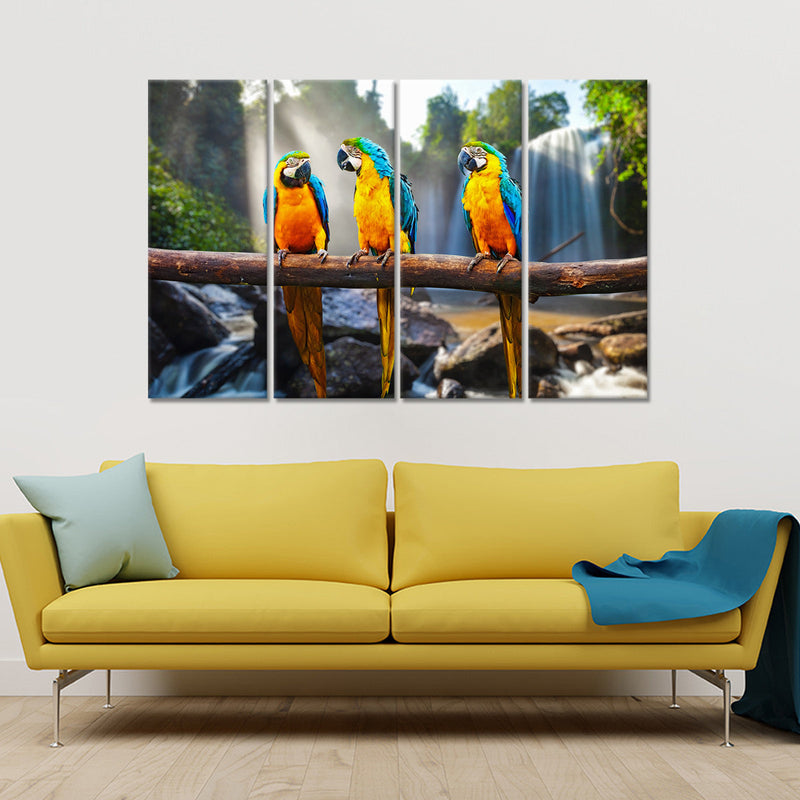 Macaw Friends Wall Art